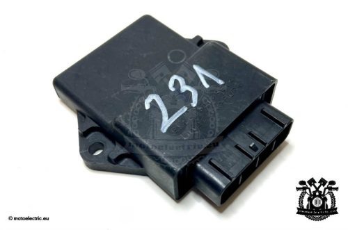 XP 500 Tmax CDI unit